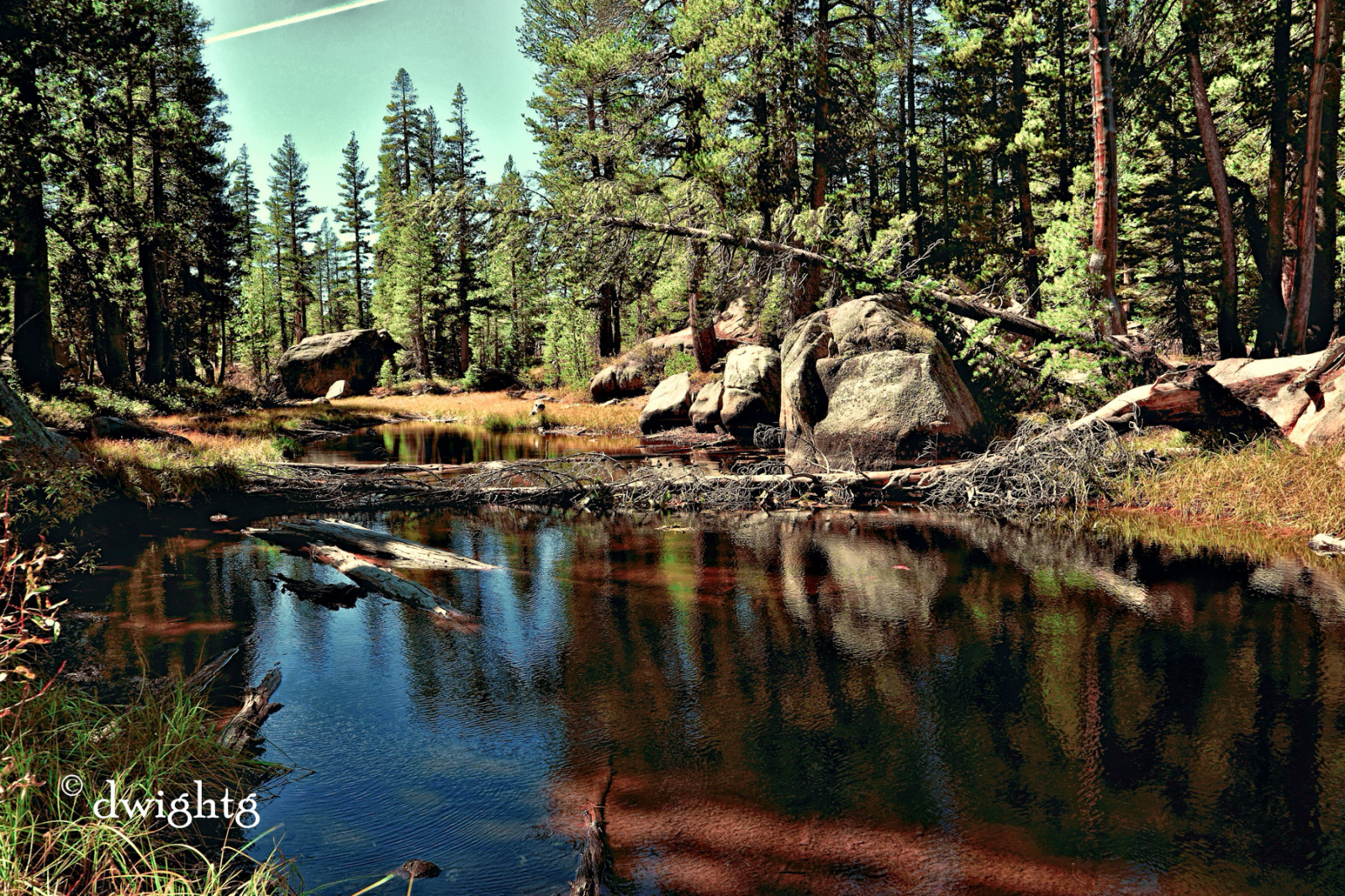 stromy, les, jezero, voda, Příroda, odraz, řeka, Kánon, naděje, skály, údolí, divočina, rybník, džungle, proud, bažina, Konec, mokřadní, strom, podzim, 24105, list, sezóna, Topas, 6d, ps, zálesí, místo výskytu, přírodní prostředí, dřevina