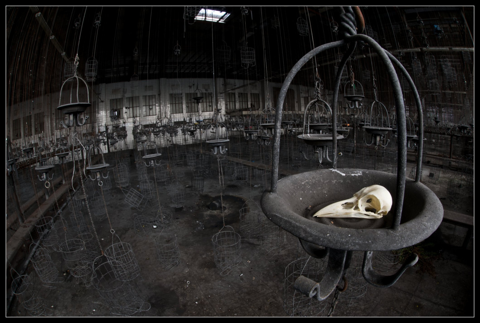 nat, vand, by-, forladt, afspejling, metal, kranium, død, liv, udforskning, opdagelsesrejsende, bure, udforske, mine, Urbex, lys, smuk, fiskeøje, mørke, kul, sigma, og, krager, 15mm, hugo, zeche, kaue, uforglemmelig