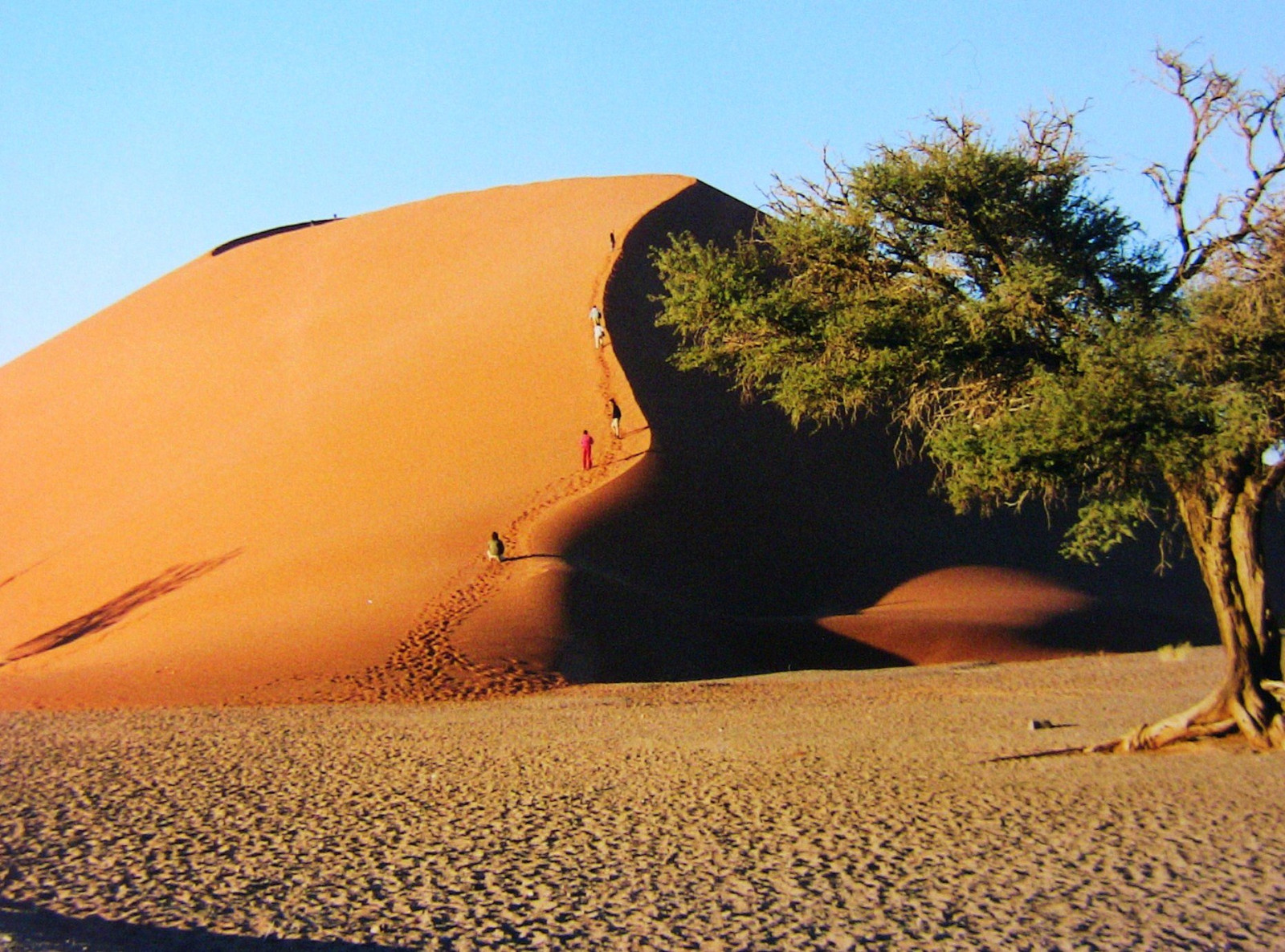 ørken, klit, Namibia, w ste, Sossusvlei, dune45, MFCC, saariysqualitypictures, esenciadelanaturaleza