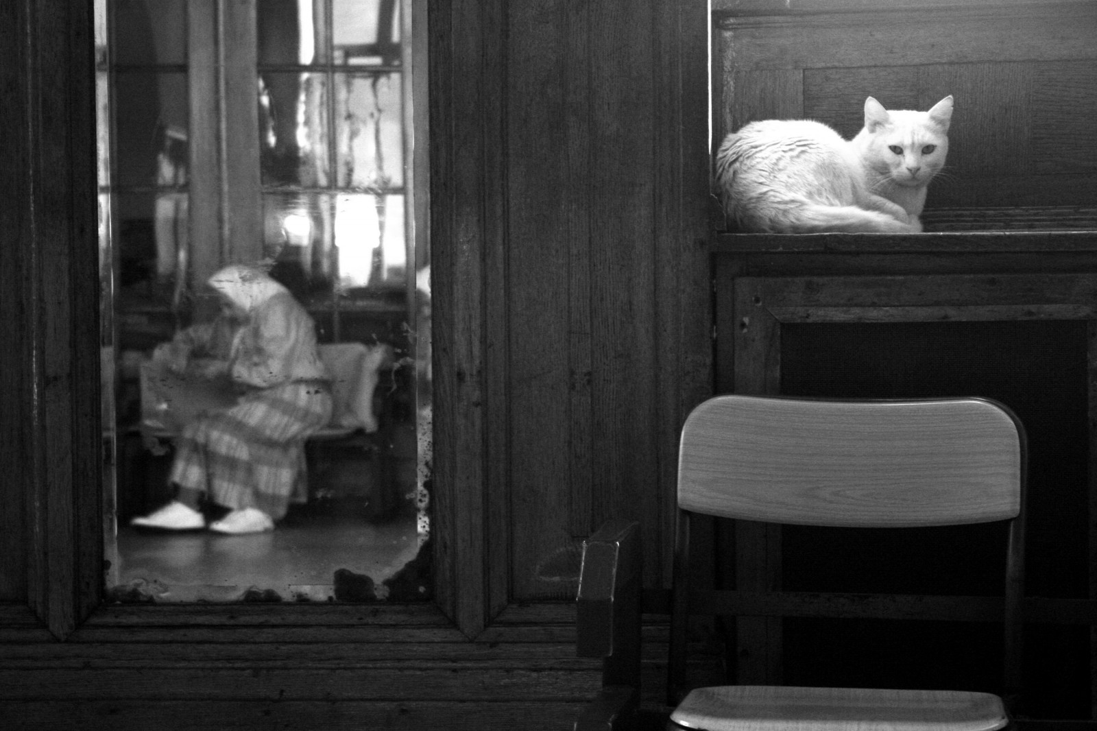 Schwarz und weiß, Bw, Dame, Zug, Katze, Truthahn, Spiegel, warten, Chat, Gare, Noiretblanc, Turkiye, Istanbul, Türkis, Reflet, reflektieren, Bahnhof, Creative Commons, warte ab, alte Frau, Miroir, Blick, Wartezimmer, betrachten, Haydarpasa, Attente, Anwesend, Personneagee, Salledattente, Haydarpasatrainstation, Garedehaydarpasa