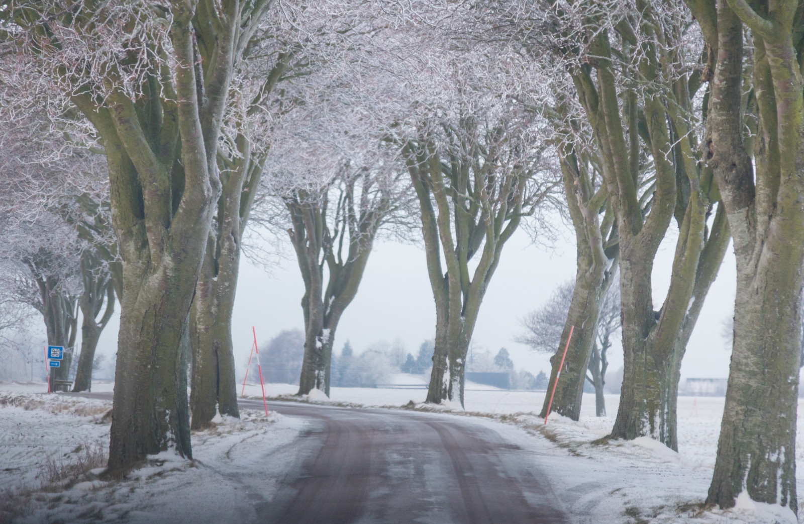 krajina, les, nebe, sníh, zima, silnice, větev, led, mráz, Jinovatka, zmrazení, strom, scenérie, počasí, sezóna, nebe, Vinter, tr d, landskap, VAG, rimfrost, tři, vánice, atmosférický jev, dřevina, zimní bouře, déšť a sníh mísí