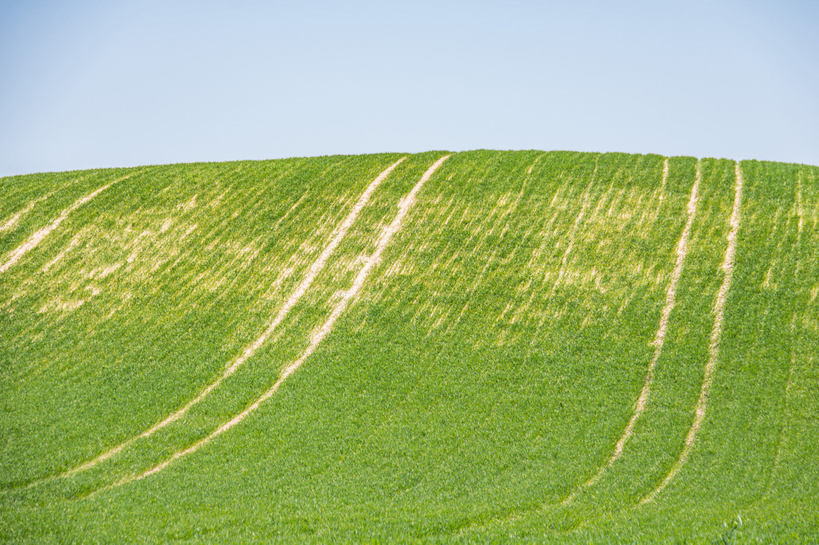 slunečnímu záření, krajina, kopec, tráva, pole, zelená, stadión, struktura, plošina, list, lučina, rostlina, venkov, pastvina, landsbygd, f lt, landskap, exif modelu canoneos760d, geocountry, Kamera aby kánon, geocity, Model fotoaparátu canoneos760d, geostate, geolocation, EXIF čočka efs18200mmf3556is, exif aby kánon, EXIF isospeed 100, exif focallength 110mm, EXIF otvor 63, b rringe, gr nt, zemědělství, louka, plantáž, prostý, trávník, prérie, oříznutí, půda, přírodní prostředí, sportovní dějiště, ekosystém, tráva rodina, neloupané pole