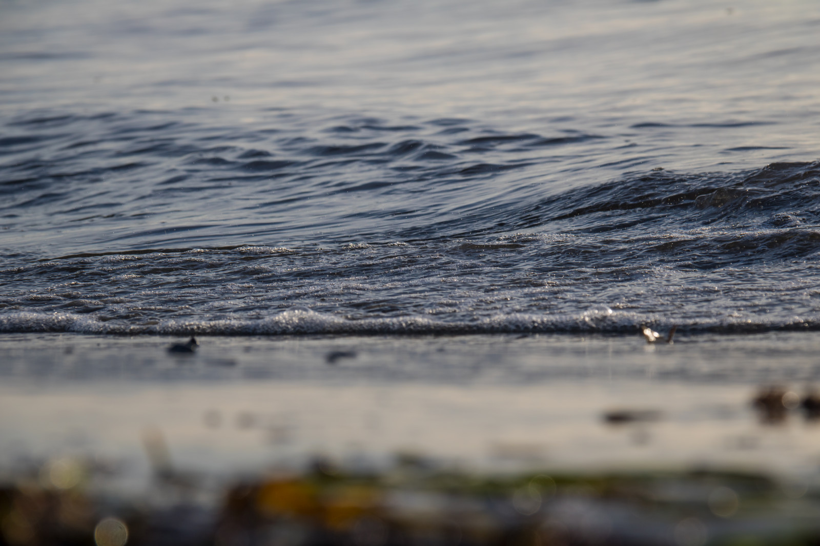 luce del sole, tramonto, mare, acqua, puntellare, sabbia, riflessione, spiaggia, Alba, mattina, costa, orizzonte, nube, tempo metereologico, oceano, onda, vatten, HAV, b ste, stesj n, corpo d'acqua, vento onda, mudflat