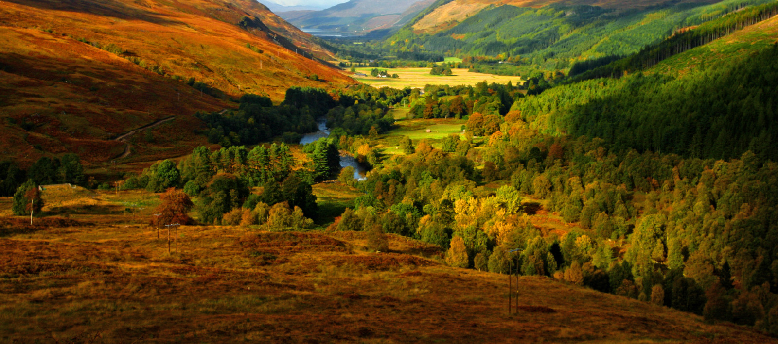 Wallpaper trees, landscape, hill, hills, cliff, national park, valley