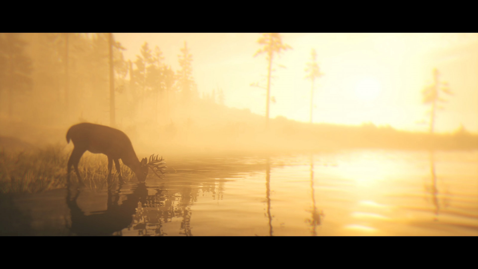 Wallpaper : water, plant, atmosphere, sky, Natural landscape, tree