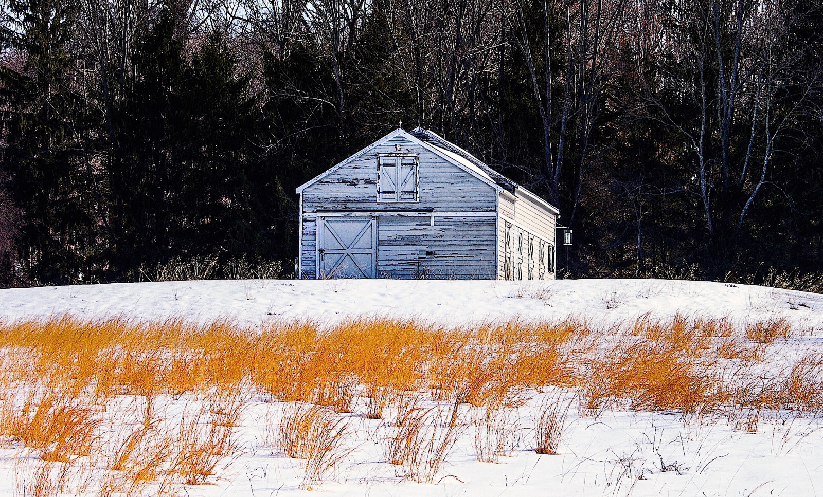 stromy, krajina, les, kůň, tráva, sníh, zima, pole, dřevo, Dům, led, ráno, mráz, hospodařit, stodola, chata, šedá, seno, zmrazení, chalupa, venkovský, chatrč, venkovský, pokrytý, světlo, země, dlouho, strom, zlatý, jezdit, kůlna, domů, venkov, srub, jezdecký, cukr dům
