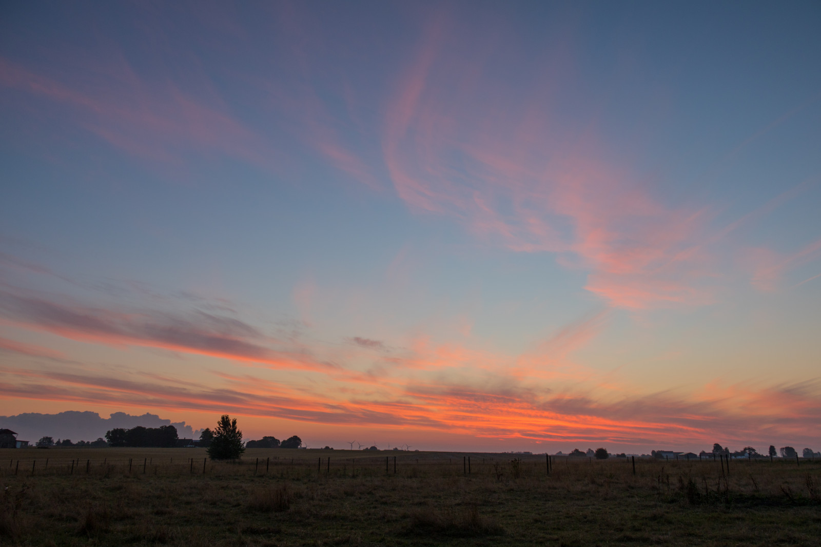 slunečnímu záření, krajina, západ slunce, nebe, pole, svítání, uklidnit, večer, ráno, horizont, atmosféra, soumrak, mrak, strom, svítání, nebe, venkov, moln, landsbygd, landskap, gryning, morgon, soderslatt, prostý, během dne, prérie, venkov, Atmosféra Země, odlesk, červená obloha v dopoledních hodinách, meteorologický jev, kupa, ekoregion, Soluppgang