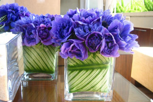 青い花 デスクトップ壁紙 デスクトップ壁紙 Wallhere