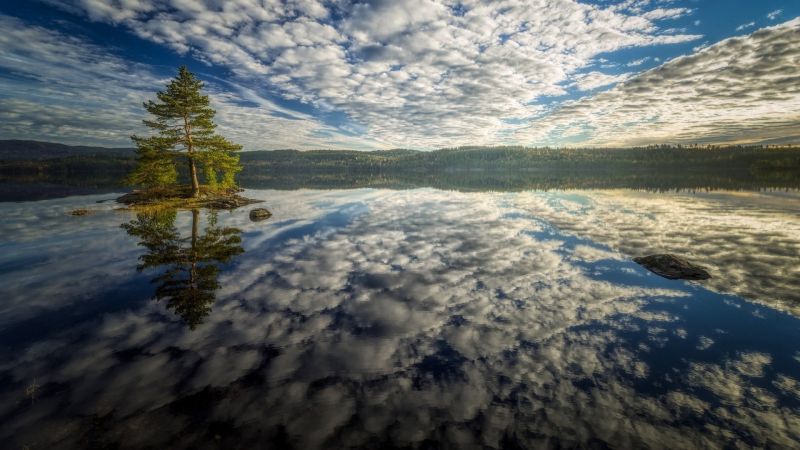 slunečnímu záření, stromy, krajina, les, kopec, moře slunečnímu záření, stromy, krajina, les, kopec, moře