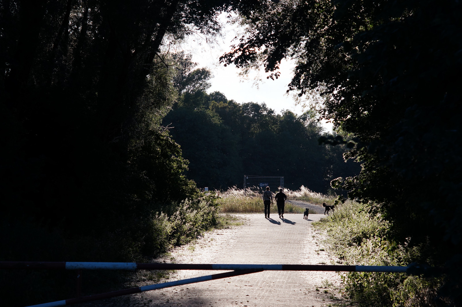 kamera, original, lys, sommer, bw, KUNST, juni, juni, Photoshop, Canon, årgang, Tyskland, ud, linse, deutschland, prime, licht, interessant, Europa, Europa, flickr, fotografie, ingen, sommer, kunst, Sony, 85mm, Bank, killinger, bedst, udforske, mest, fast, brugervejledning, lige, alfa, 18, populær, ufer, længde, Rhinen, ukuperede, Rhein, bernhard, ægte, fd, rhineriver, brændvidde, efterbehandling, nex, Baden-Württemberg, Manuelle, OOC, interessant, Sulzfeld, Kraichgau, unbearbeitet, klassisch, flus, entdecken, sooc, Friess, 5n, flickriver, emount, fluidr, Unverf lscht, canonfd85mm118