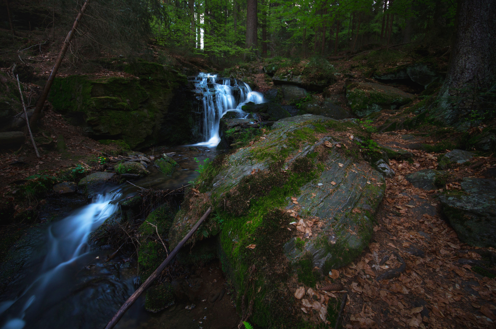 krajina, světla, barvitý, les, podzim, Černá, vodopád, temný, voda, Skála, Příroda, nebe, kameny, dřevo, zelená, žlutý, modrý, řeka, Volně žijících živočichů, Kánon, oranžový, šátek, náměstí, skály, život, divočina, padající, džungle, proud, denní světlo, deštný prales, přírodní rezervace, rokle, F4, světlo, barva, mystický, strom, flickr, Landschaft, rostlina, divoký, přírodní, kapky, mimo, upláchnout, outdor, natur, deutschland, břeh řeky, tok, vodní tok, přistát, Rychlý, zátoka, 6d, dnes, Wald, mystik, vrbový prut, bayern, wasser, squareformat, denně, formát, barevný, vollformat, naturephotography, zálesí, Wasserfall, tekoucí, Felsen, steine, 1635, tělo z vody, prales, vodní prvek, bach, Dunkel, weitwinkel, strom, národní park, waterloo, Fruhling, bachlauf, arroyo, Oberpfalz, vodní zdroje, str mungo, přítok, Downriver, Waterdropsd, valdivian temperate rain forest