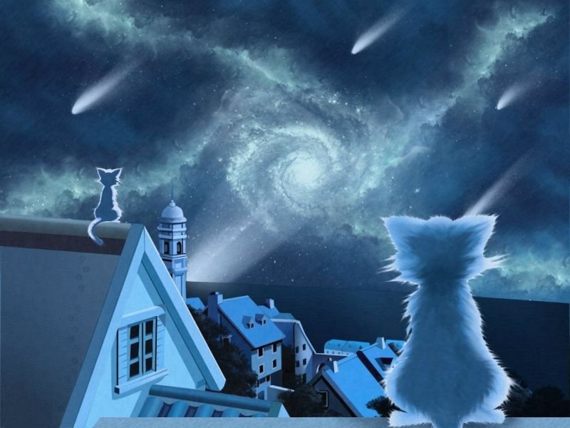 cat, space, nebula, rooftops, ghost ship, screenshot cat, space, nebula, rooftops, ghost ship, screenshot