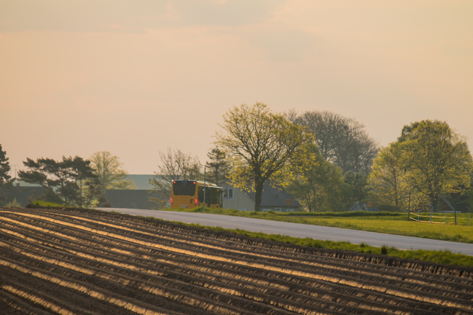 luce del sole, paesaggio, tramonto, collina, erba, cielo, campo, strada, sera, mattina, azienda agricola, orizzonte, autostrada, trasporto, nube, albero, autunno, campagna, landsbygd, v g, s dersl TT, Landskap, Morgon, Gisl v, traccia, agricoltura, sobborgo, area rurale, fenomeno atmosferico, Zona residenziale