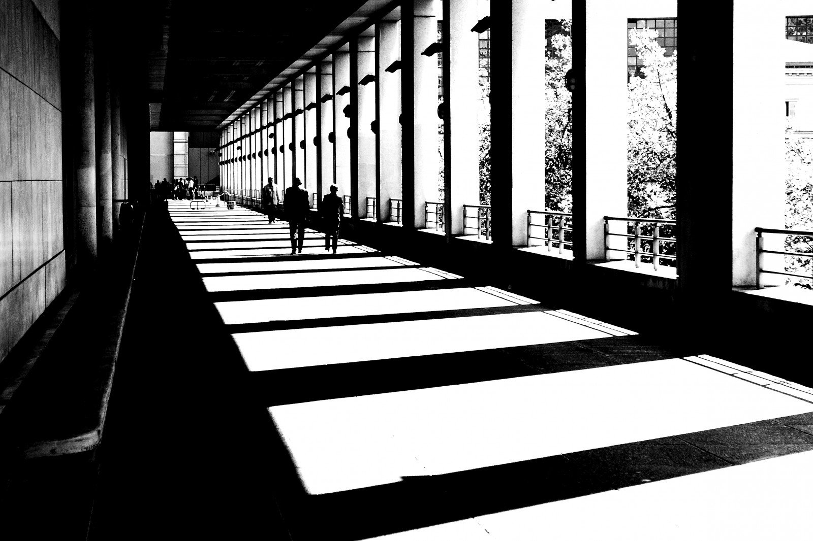Ombre Et Lumière Scan English
