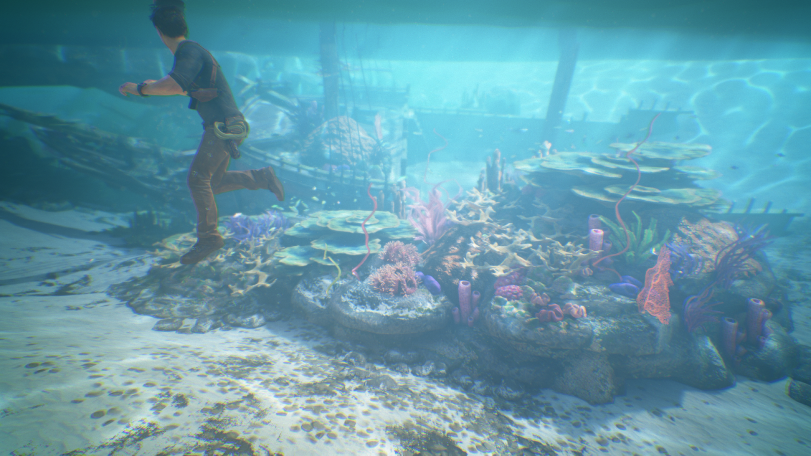 sportovní, moře, Uncharted 4 zlodějem Konec, Pod vodou, korál, PlayStation 4, korálový útes, nezmapovaný, plavání, potápění, biologie, potápění, oceán, útes, mořská biologie, vodní sport