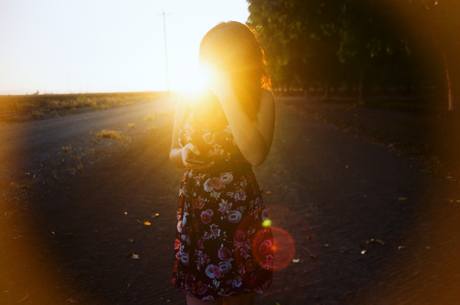 slunečnímu záření, listy, starý, západ slunce, voda, odraz, nebe, rostliny, pole, svítání, večer, ráno, slunce, hospodařit, Kánon, Kalifornie, atmosféra, vinobraní, Slunný, Osoba, 35MM, fotoaparát značky kodak, světlo, ovocný sad, dívka, Sluneční svit, světlice, analogový, film, ca, sluneční paprsky, 35mmfilm, canonae1program, lightflare, Cali, kodakgold, sLR, kodakfilm, canonae1