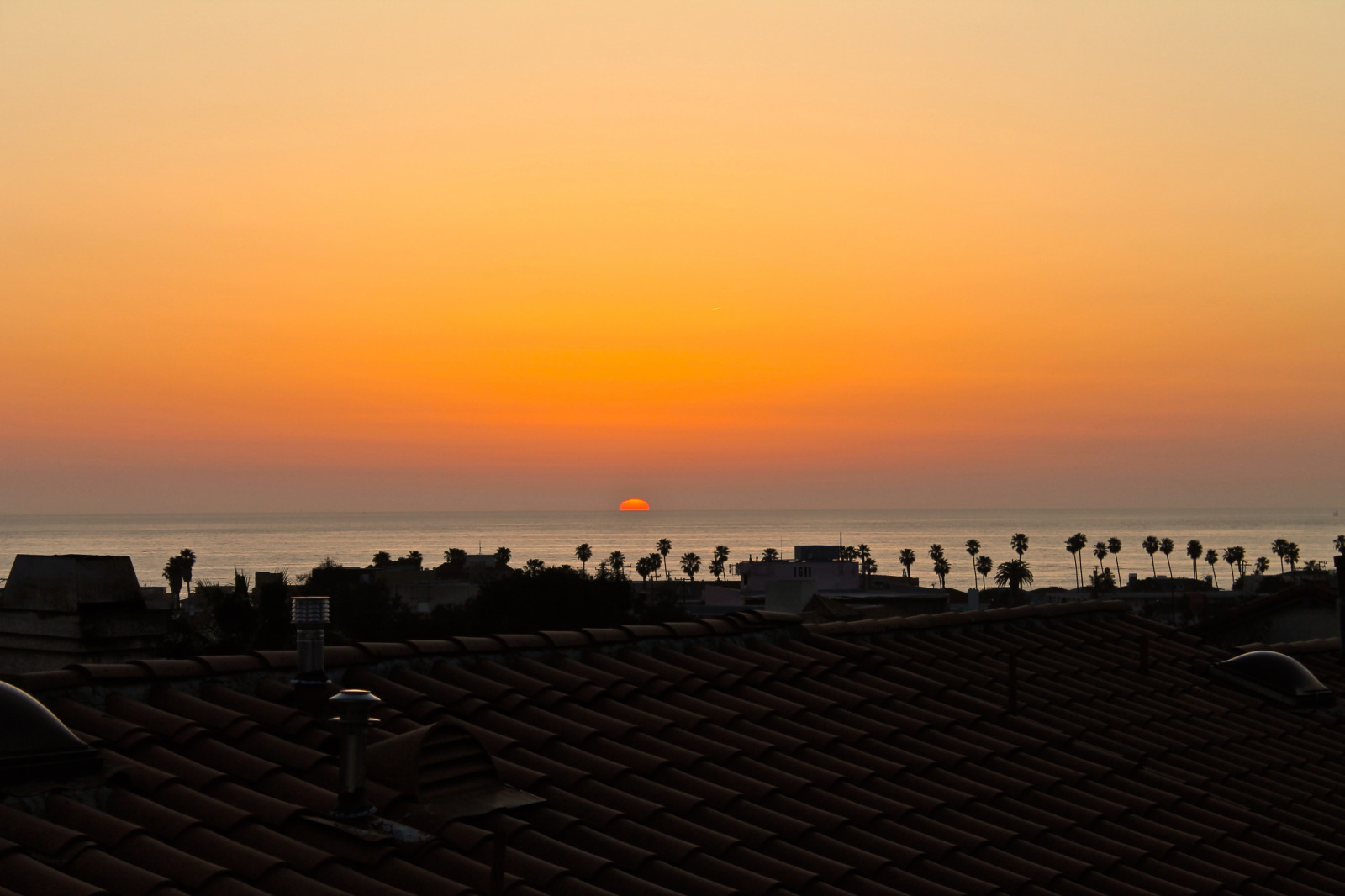 slunečnímu záření, stromy, západ slunce, moře, město, nebe, pláž, svítání, uklidnit, panoráma, večer, ráno, slunce, Kalifornie, horizont, soumrak, Los Angeles, Pacifik, mrak, svítání, dlaň, oceán, palmy, Cali, SoCal, LosAngeles, Redondo, Tichý oceán, odlesk, losangelescounty, Redondobeach, Lacounty