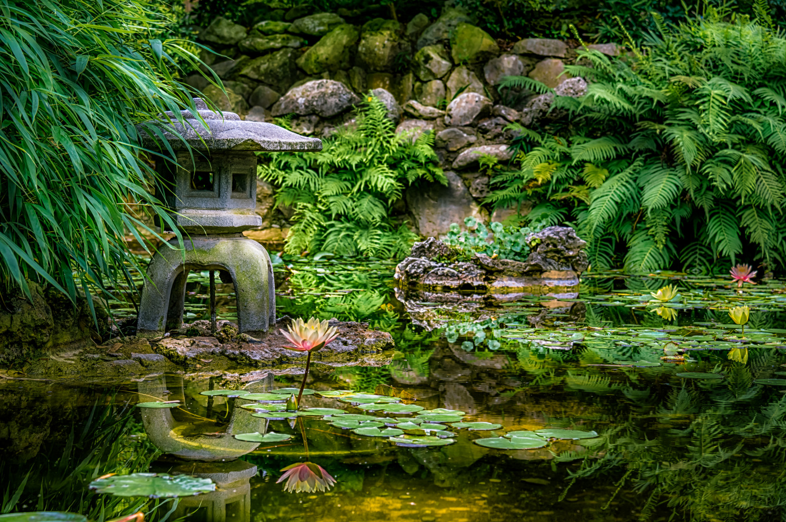 Wallpaper flower, reflection, water, statue, rock, stone, Austin, us