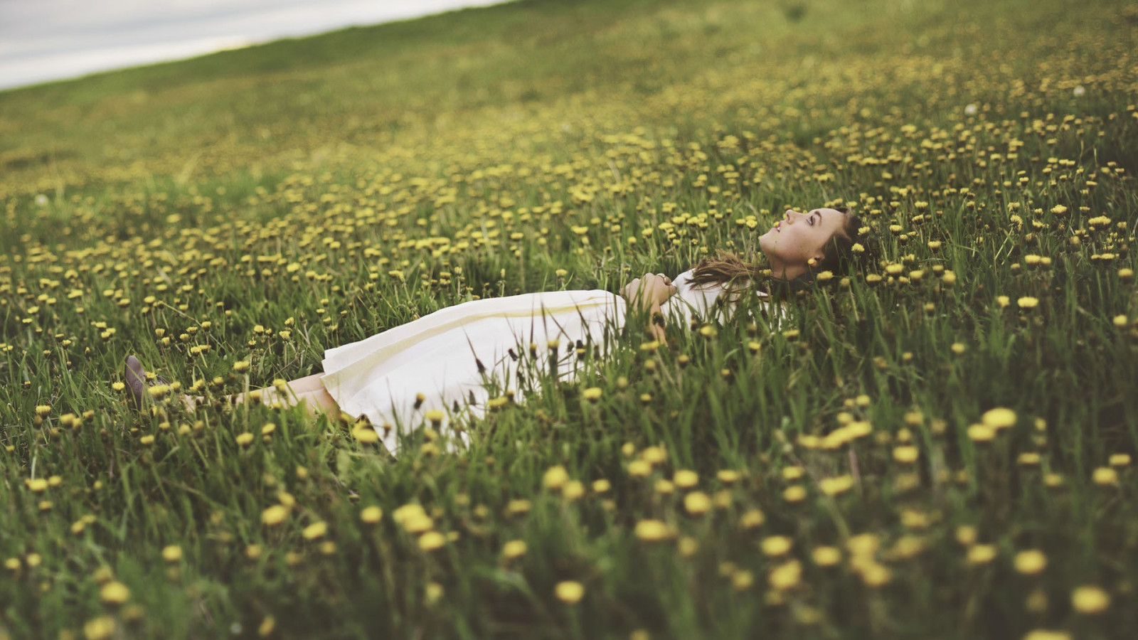 luz de sol, mujer, naturaleza, césped, campo, fotografía, verde, Mañana, otoño, hoja, flor, pradera, planta, flora, agricultura, prado, flor silvestre, césped, pradera, área rural, habitat, entorno natural, Planta de tierra, planta floreciendo, Familia de la hierba