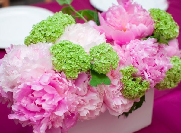 composition,peonies,hydrangea,pots