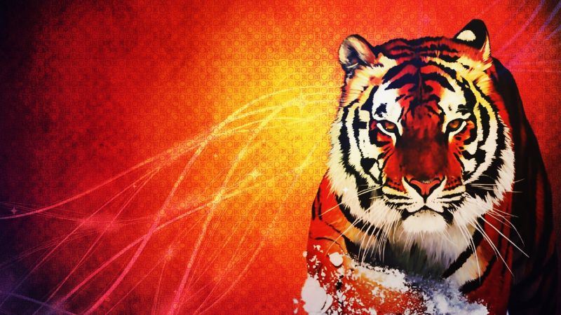 illustration, animals, red, tiger, wildlife, orange illustration, animals, red, tiger, wildlife, orange