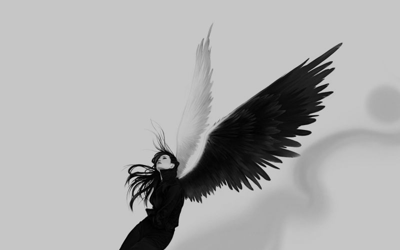 drawing, black, monochrome, angel, eagle, bird drawing, black, monochrome, angel, eagle, bird