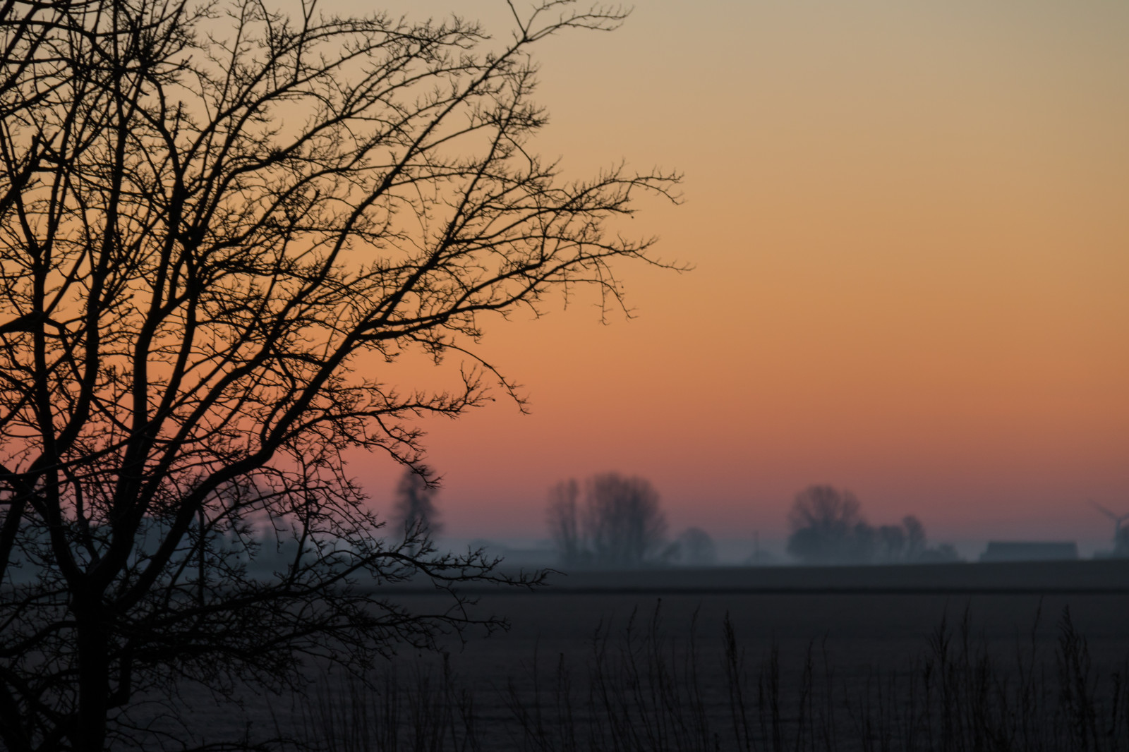światło słoneczne, krajobraz, zachód słońca, Natura, niebo, zimowy, gałąź, wschód słońca, wieczór, ranek, zamglenie, Słońce, atmosfera, zmierzch, mgła, Sol, drzewo, mgła, pogoda, świt, pora roku, Himmel, Wieś, Landsbygd, Soluppg ng, Landskap, Morgon, Zjawisko atmosferyczne, poświata, Czerwone niebo w poranek
