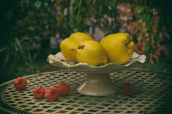 painting, food, fruit, citrus, green, yellow