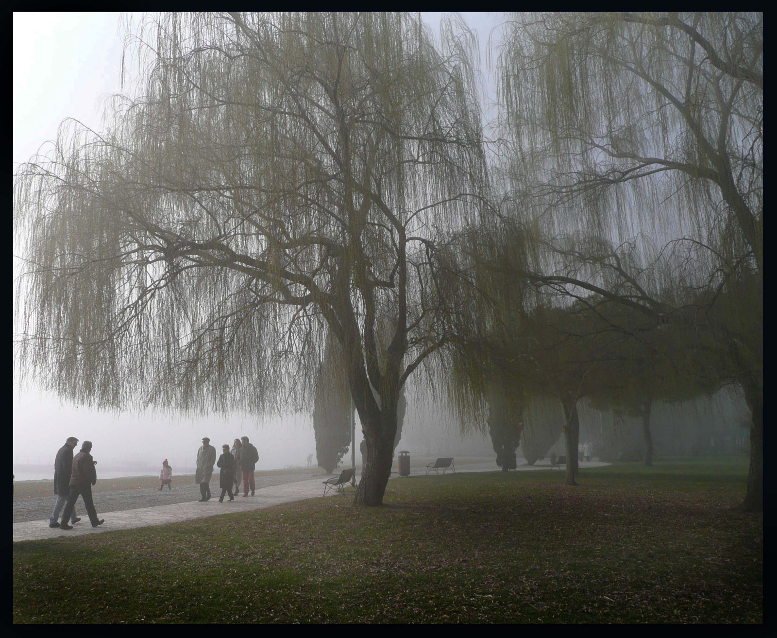 Sonnenlicht, Landschaft, Italien, Wasser, Gras, Himmel, Winter, Ast, Morgen, Nebel, Atmosphäre, Einfrieren, Dunst, Baum, Nebel, Pflanze, Mygearandmepremium, Mygearandmebronze, Mygearandmesilver, Mygearandmegold, Anawesomeshot, 100Konferenzgruppe, Vigilantphotographersunite, Mygearandmeplatinum, Mygearandmediamond, Vpu2, Vpu3, Vpu4, Vpu5, Vpu6, Vpu7, Erinnern sie sich, Erinnern sie sich, Erinnern sie sich, Erinnern sie sich, Vpu8, Vpu9, Wow1, Wow2, Wow3, Wow4, Wow5, Erinnern sie sich, Erinnern sie sich, Wald, Holzige Pflanze, Phänomen, Rivadelgarda, Niceshotmosaic13