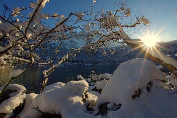 sunlight, trees, lake, nature, fall, water
