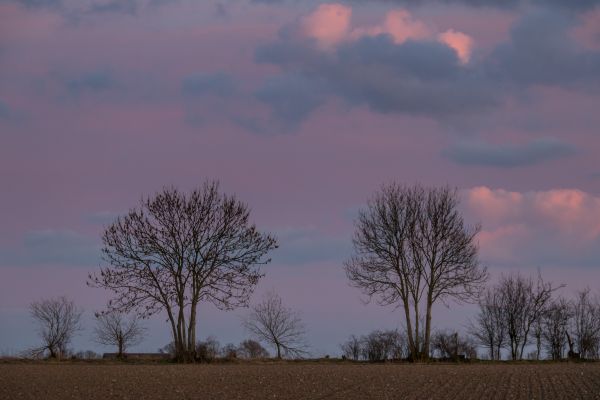 sunset,sky,landscape,cloud,tree,countryside