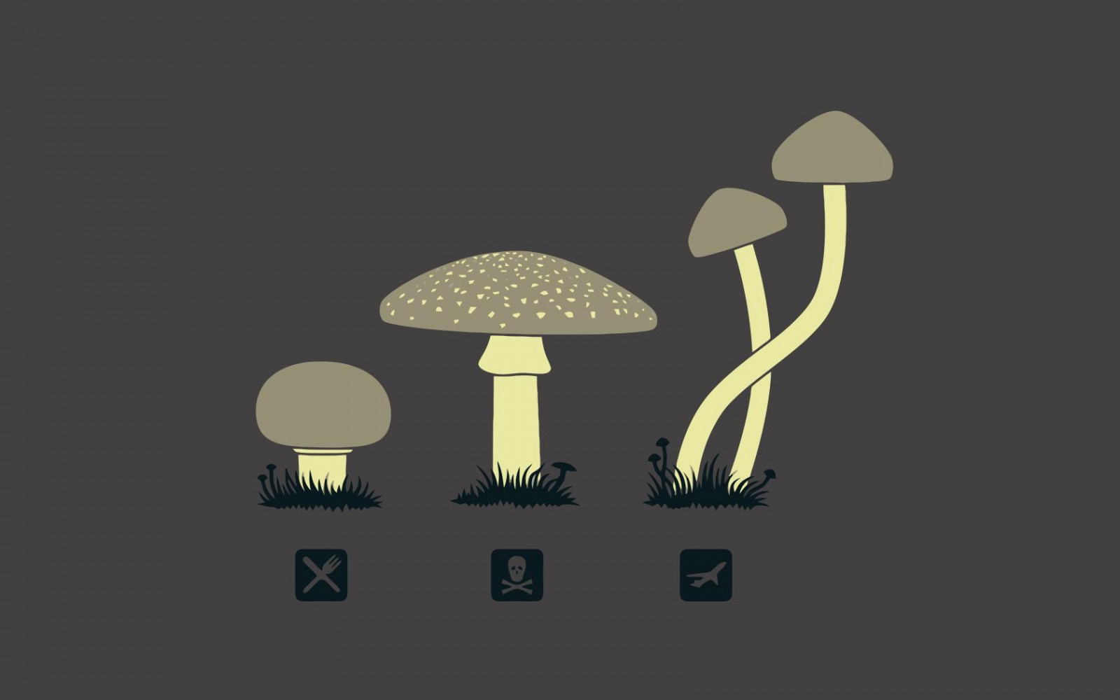 illustration, tekst, logo, champignon, tegneserie, skilte, mærke, svamp, skrifttype
