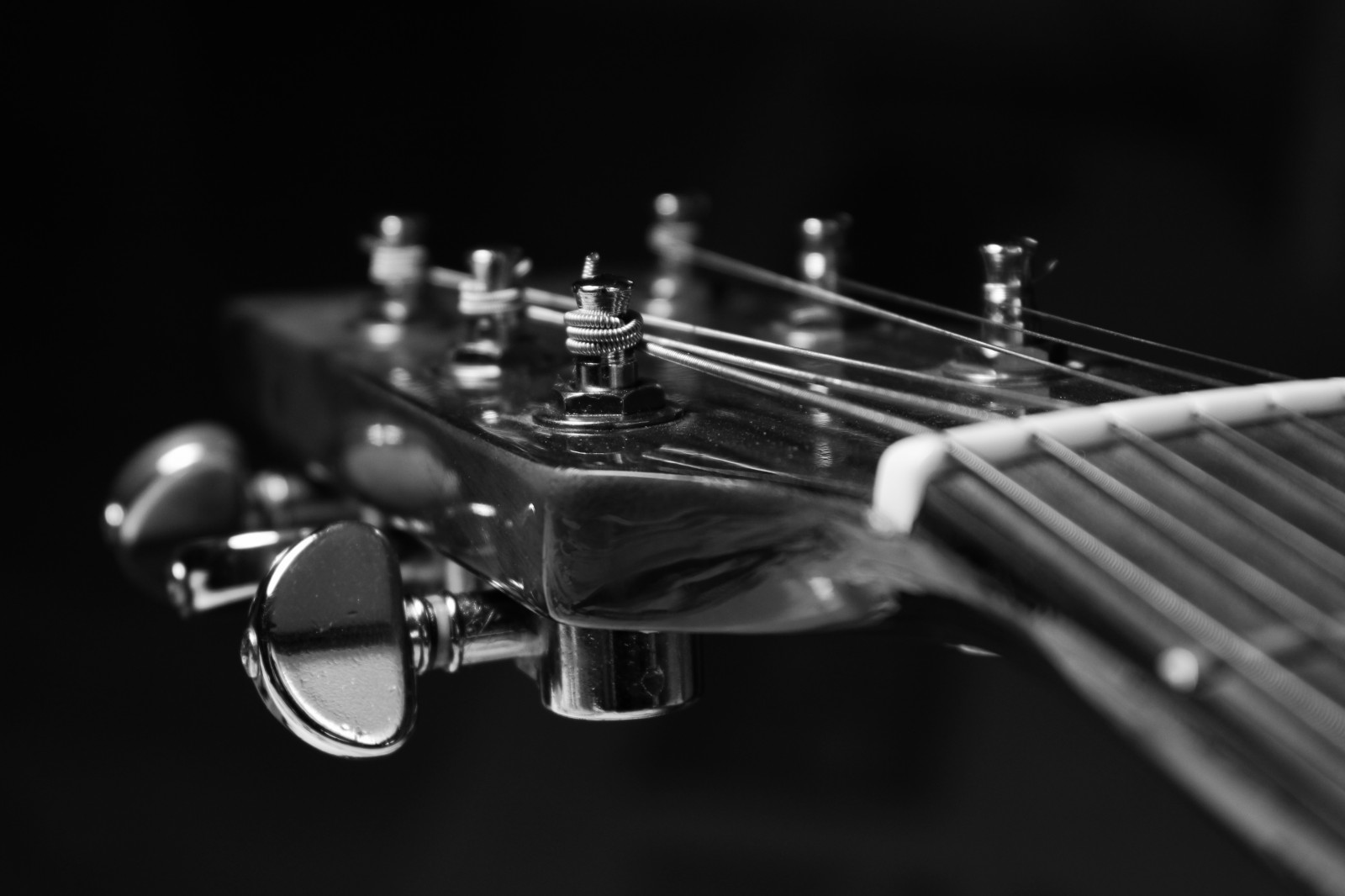 Wallpaper : musical instrument, closeup, macro, Canon, strings ...