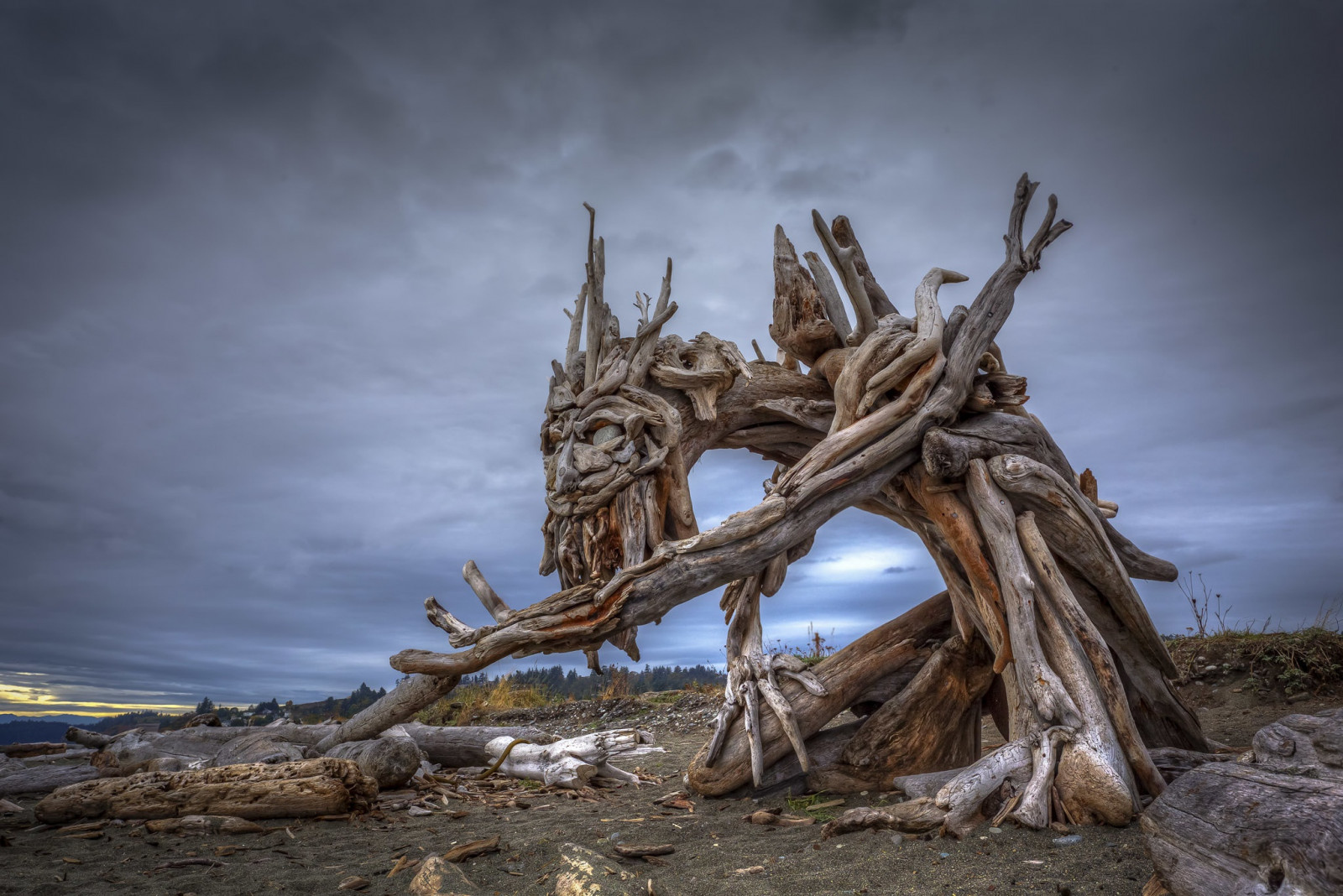 Wallpaper wood, outdoors, nature 2048x1368 WallpaperManiac