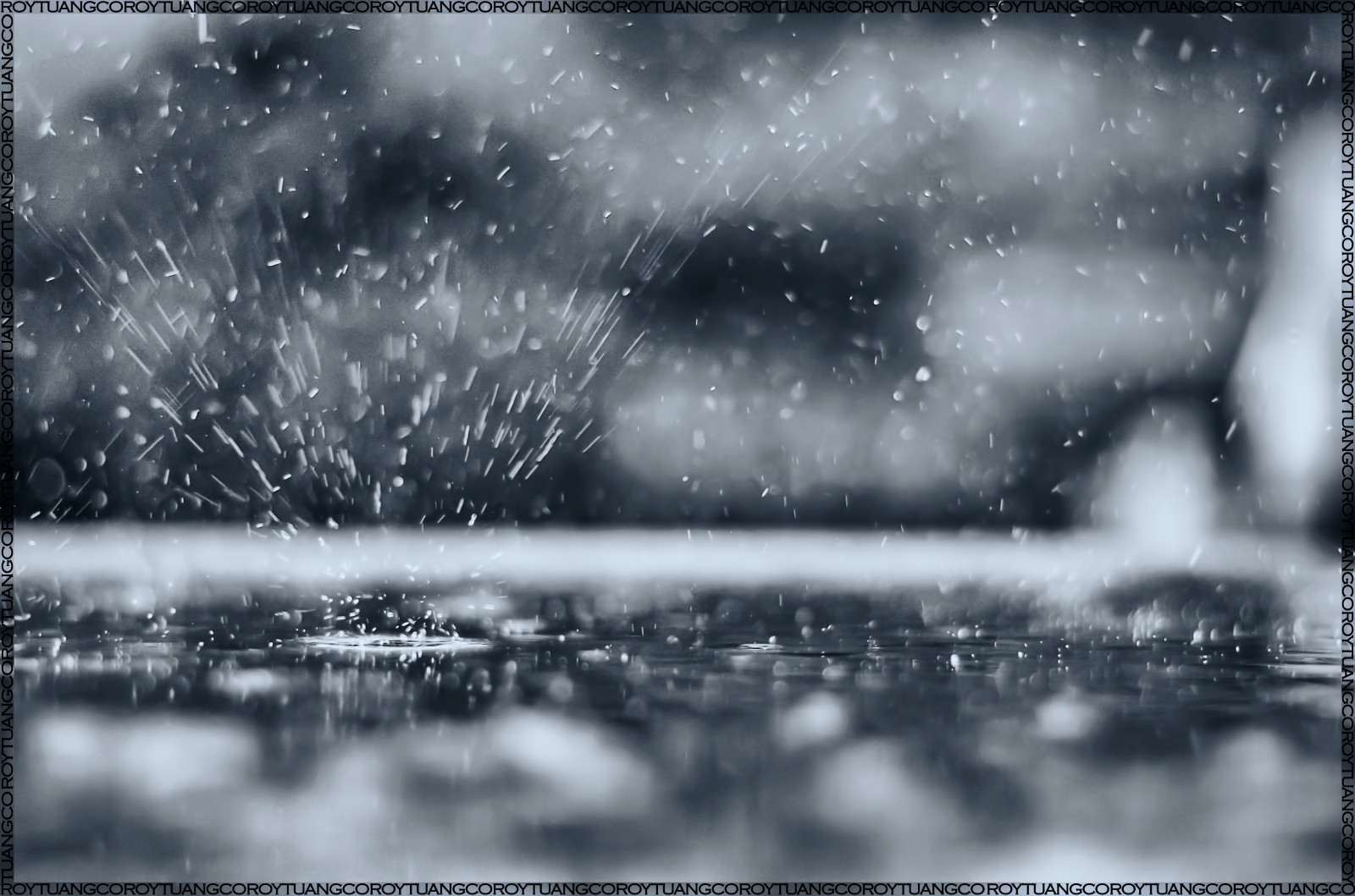 bílý, Černá, Photoshop, černobílý, voda, odraz, sníh, déšť, Anglie, atmosféra, Nikon, mokrý, Spojené království, zmrazení, Yorkshire, Lightroom, Leeds, Černý a bílý, 50mm, počasí, sezóna, tělesné, deštivý, tma, dnes, primelens, GBR, počítač tapeta, Černý a bílý, monochromatické fotografování, West Yorkshire, roy, tuangco