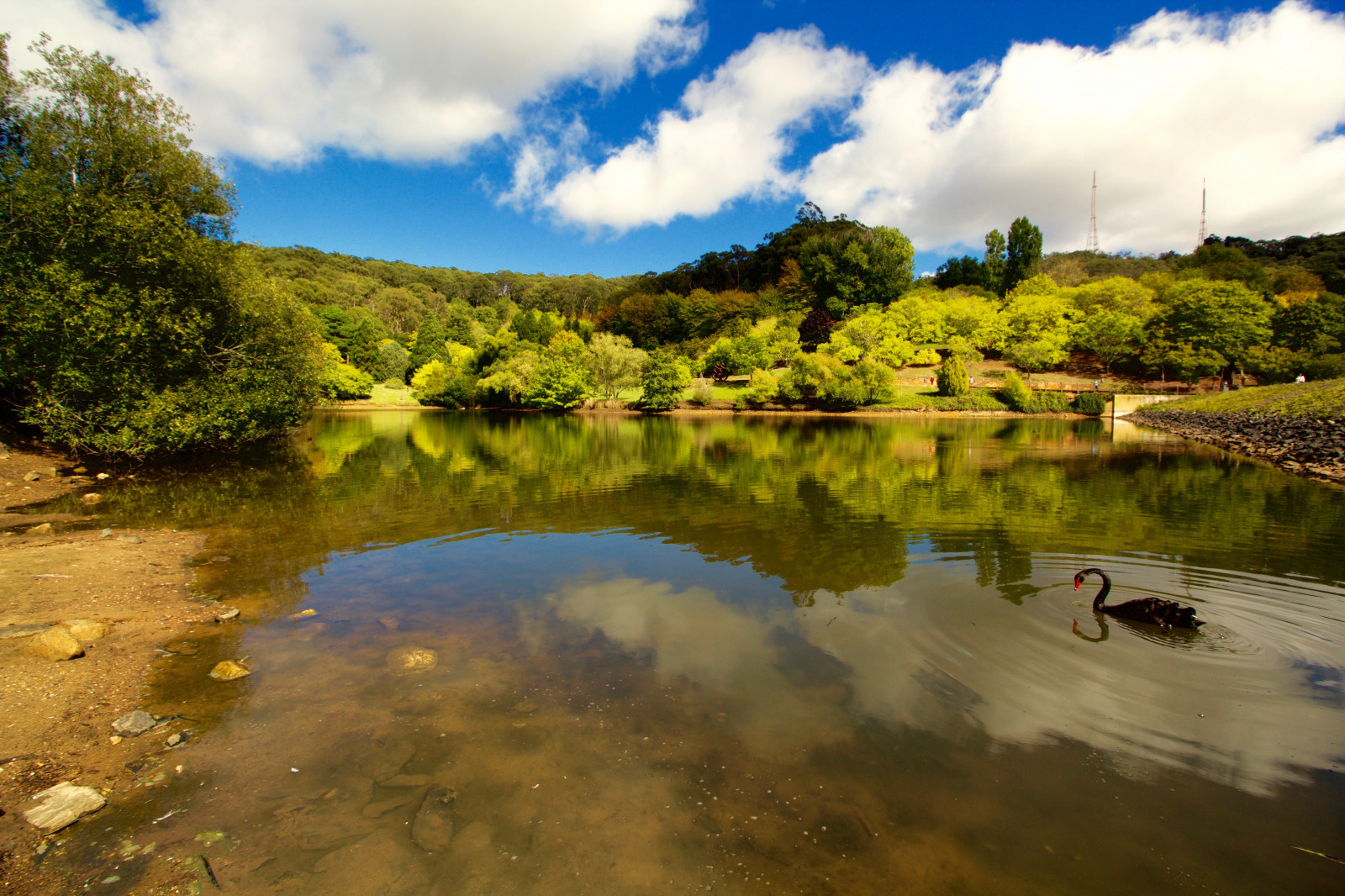 podzim, stromy, jezero, zahrada, Kánon, krajina, eos, labuť, Austrálie, široký úhel, botaniky, Adelaide Hills, Mountlofty, 60d, Canonefs1018mmf4556isstm
