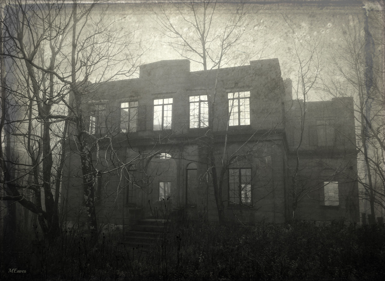 hus, sort og hvid, træ, vedplante, monokrom fotografering, atmosfære, arkitektur, hjem, bygning, morgen, monokrom, fænomen, mørke, tåge, historie, tåge, sollys, facade, plante, aften, skov, palæ, vindue, Almshouse, herregård, ejendom, Skov, statelige hjem, vinter