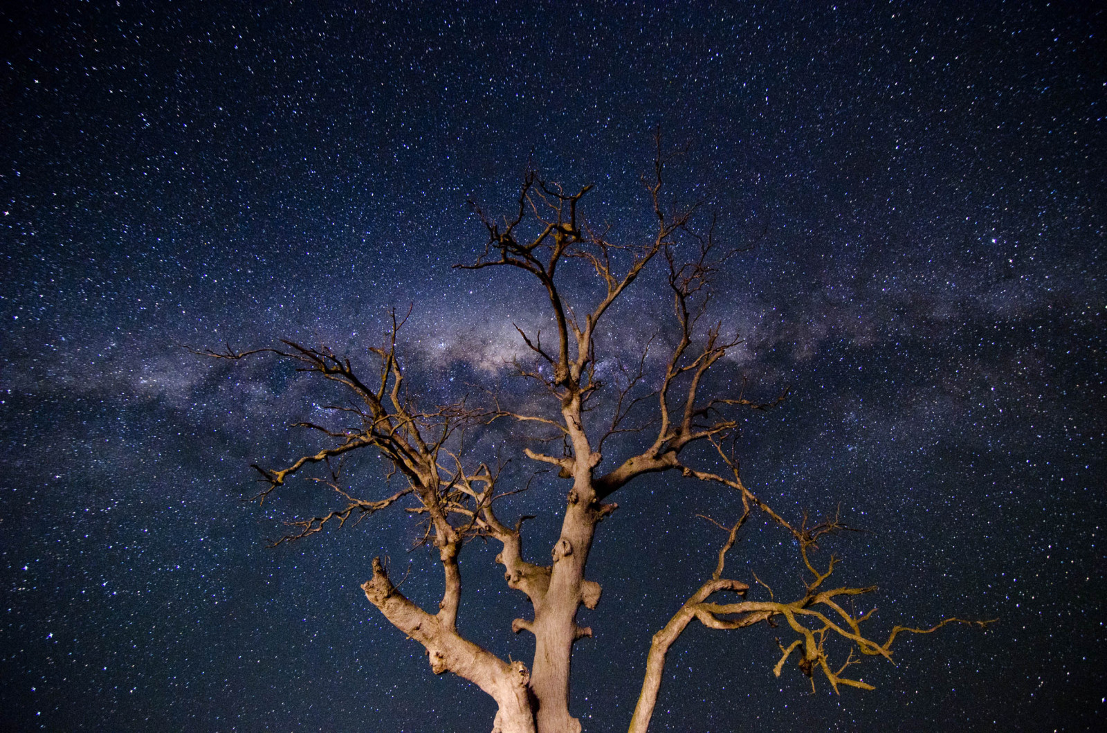 Wallpaper lighting, camera, longexposure, light, sky, colour, tree