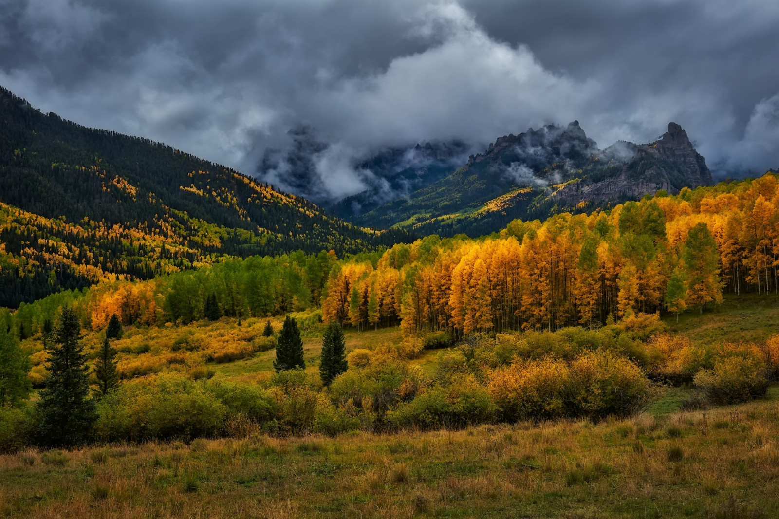 træer, landskab, Skov, bakke, natur, morgen, dal, ødemark, plateau, ryg, Sky, træ, efterår, blad, bjerg, plante, sæson, eng, skov, 2048x1365 px, landdistrikt, levested, atmosfærisk fænomen, vedplante, bjergrige landskabsformer, geografisk funktion, økosystem, bjergkæde, lærk