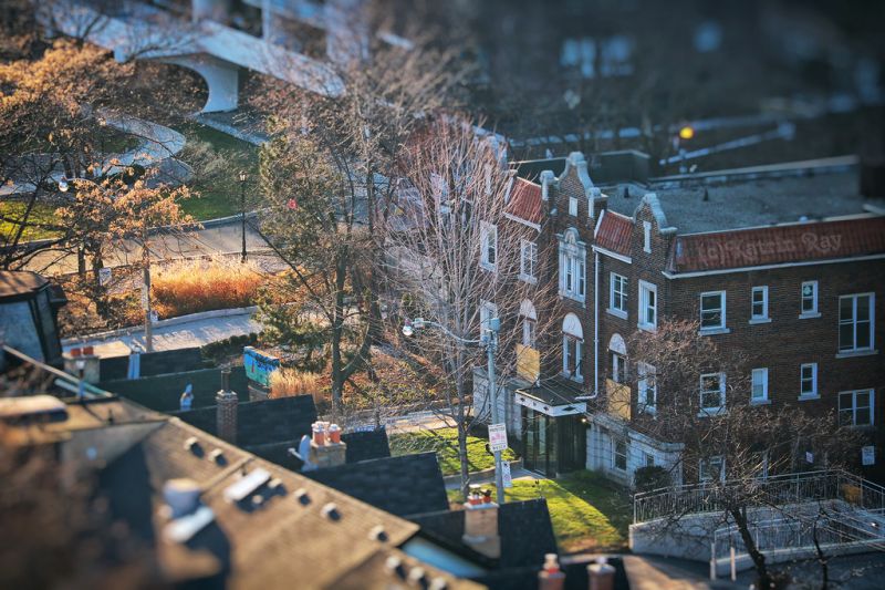 strom, urban area, město, Metropolitní oblast, mezník, město