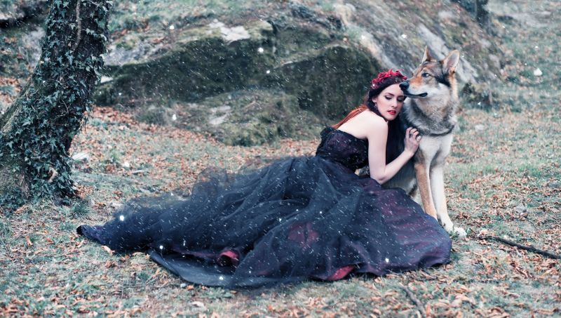 zvěř, Pes, ženy, šaty