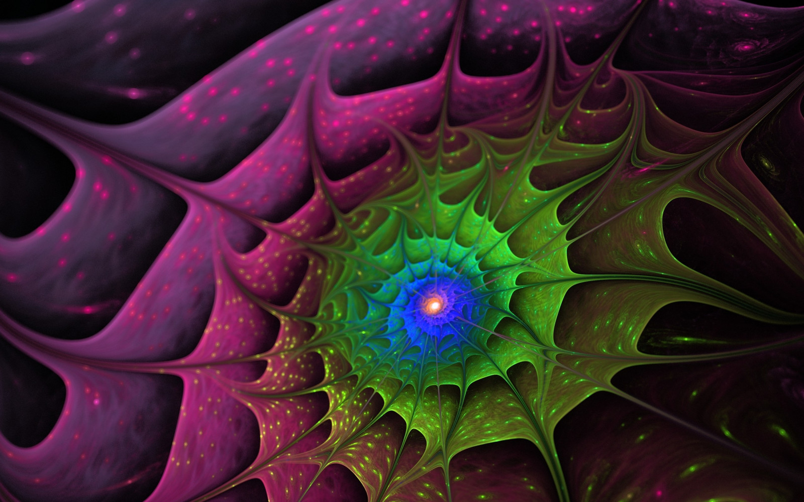 fotografie, Violet, simetrie, verde, model, luminos, ușoară, culoare, frunze, floare, plantă, floră, petală, tapet de calculator, plante teren, plante cu flori, arta fractală, a închide, macro fotografie, art psihedelice, familie Daisy, imersiune