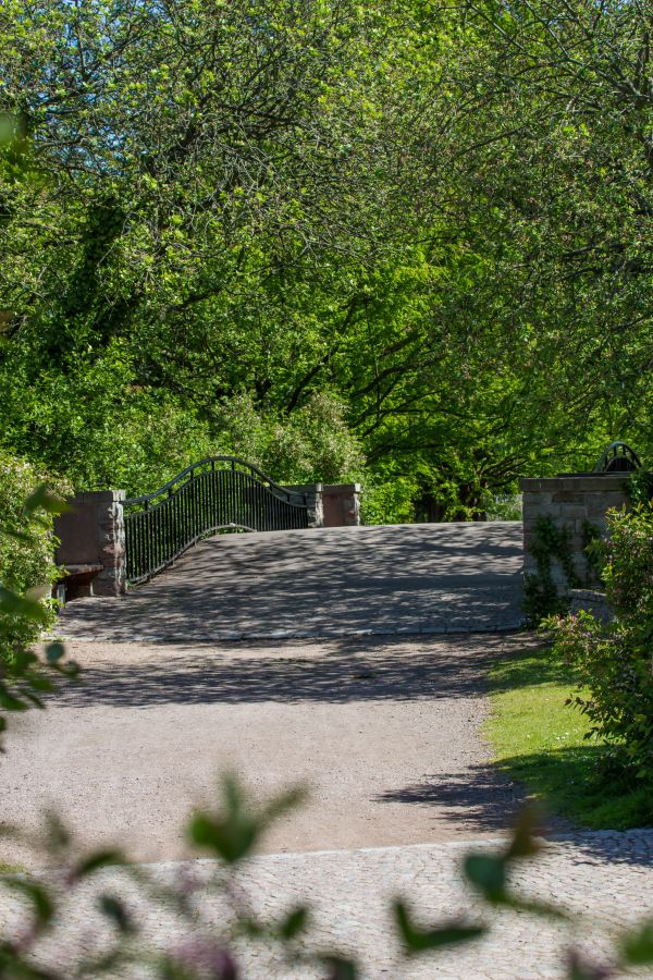 grass,green,garden,park,path,walkway