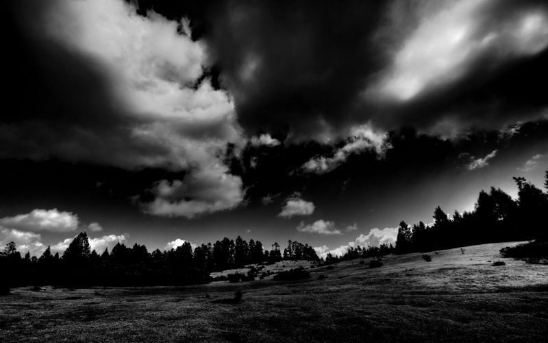 slunečnímu záření, černobílý, stromy, krajina, Černá, Příroda slunečnímu záření, černobílý, stromy, krajina, Černá, Příroda