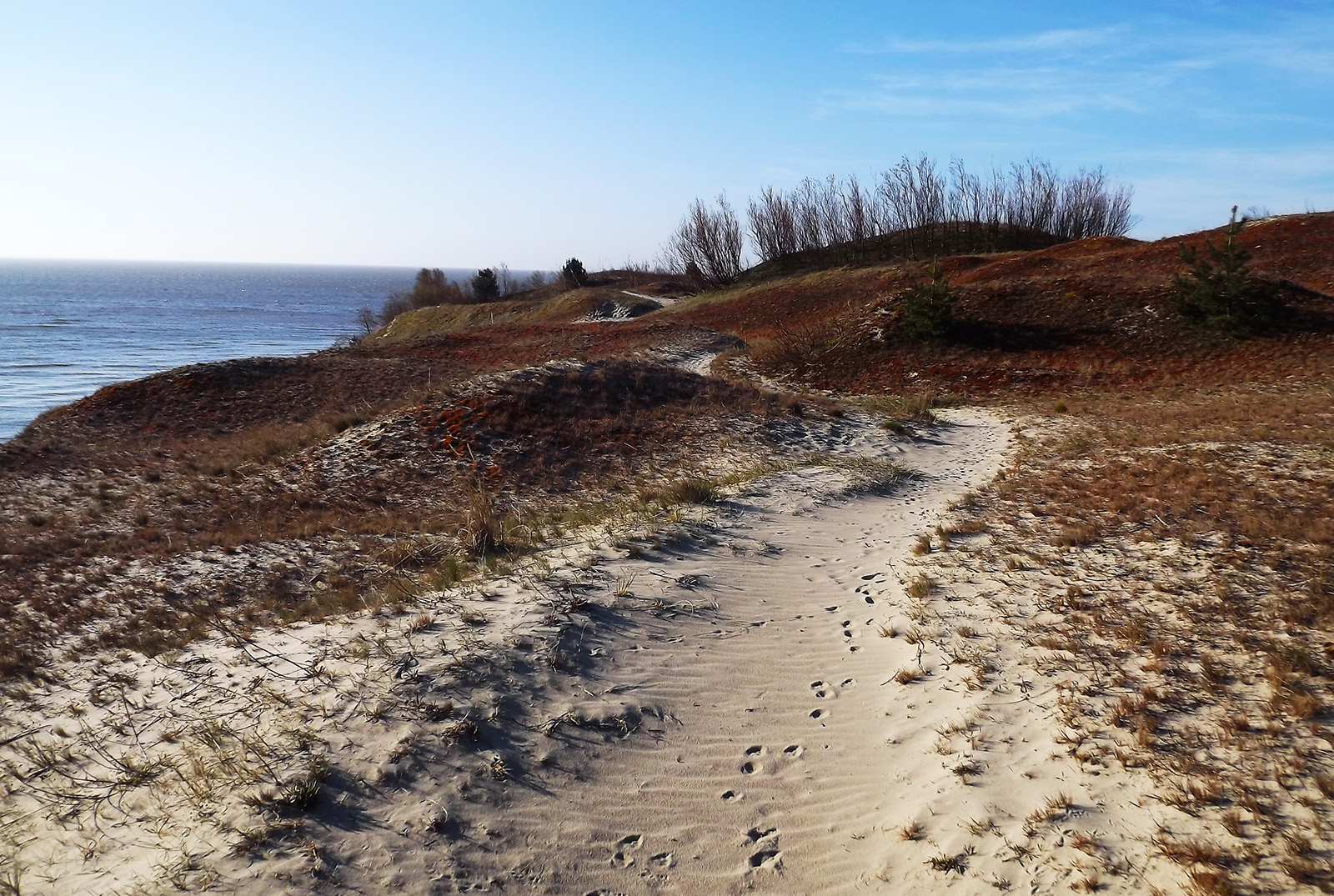 písek, duna, plivat, Nida, Litva, Curonian, Parnidis