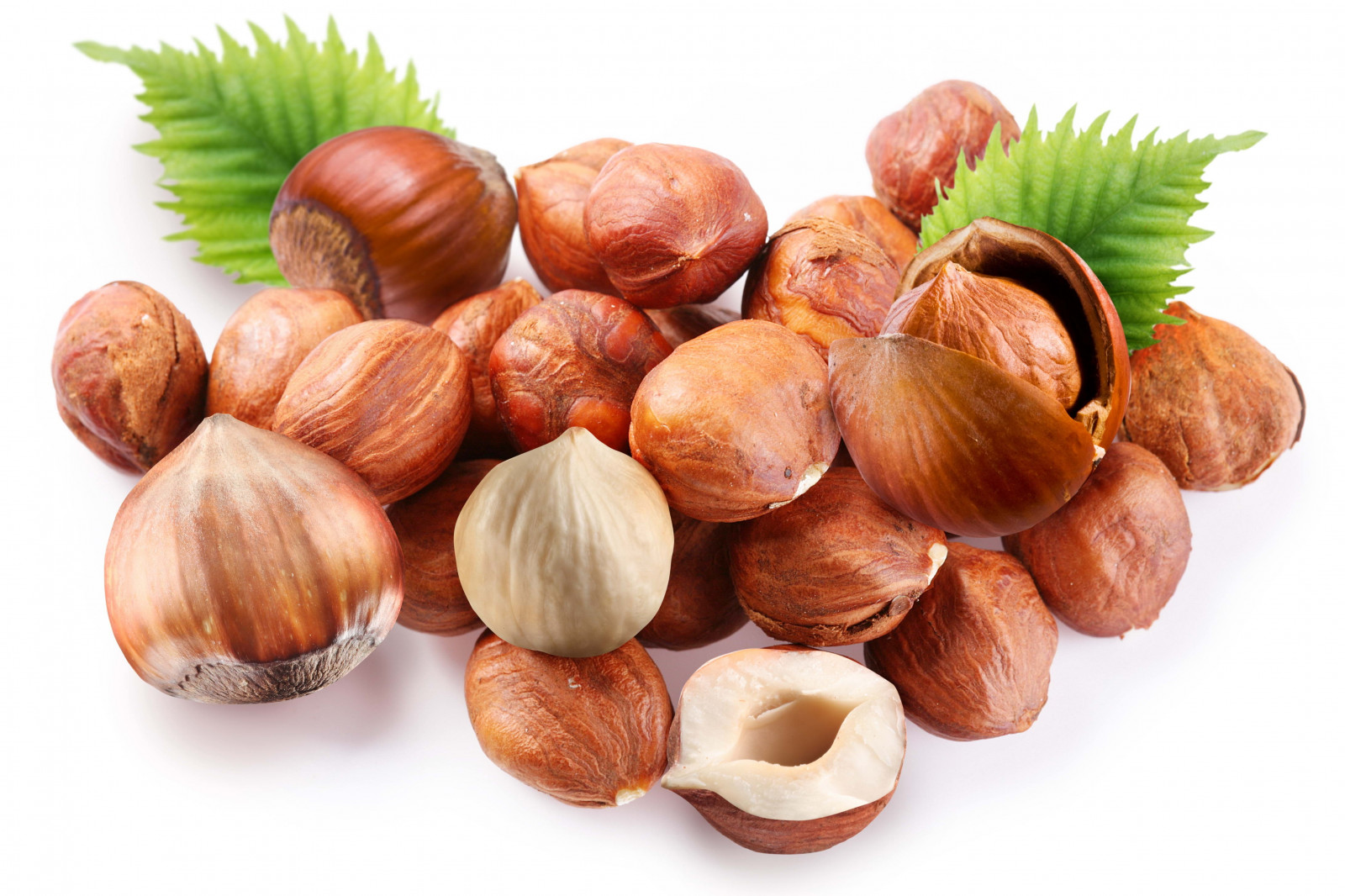 nuts, heap, white, leaves