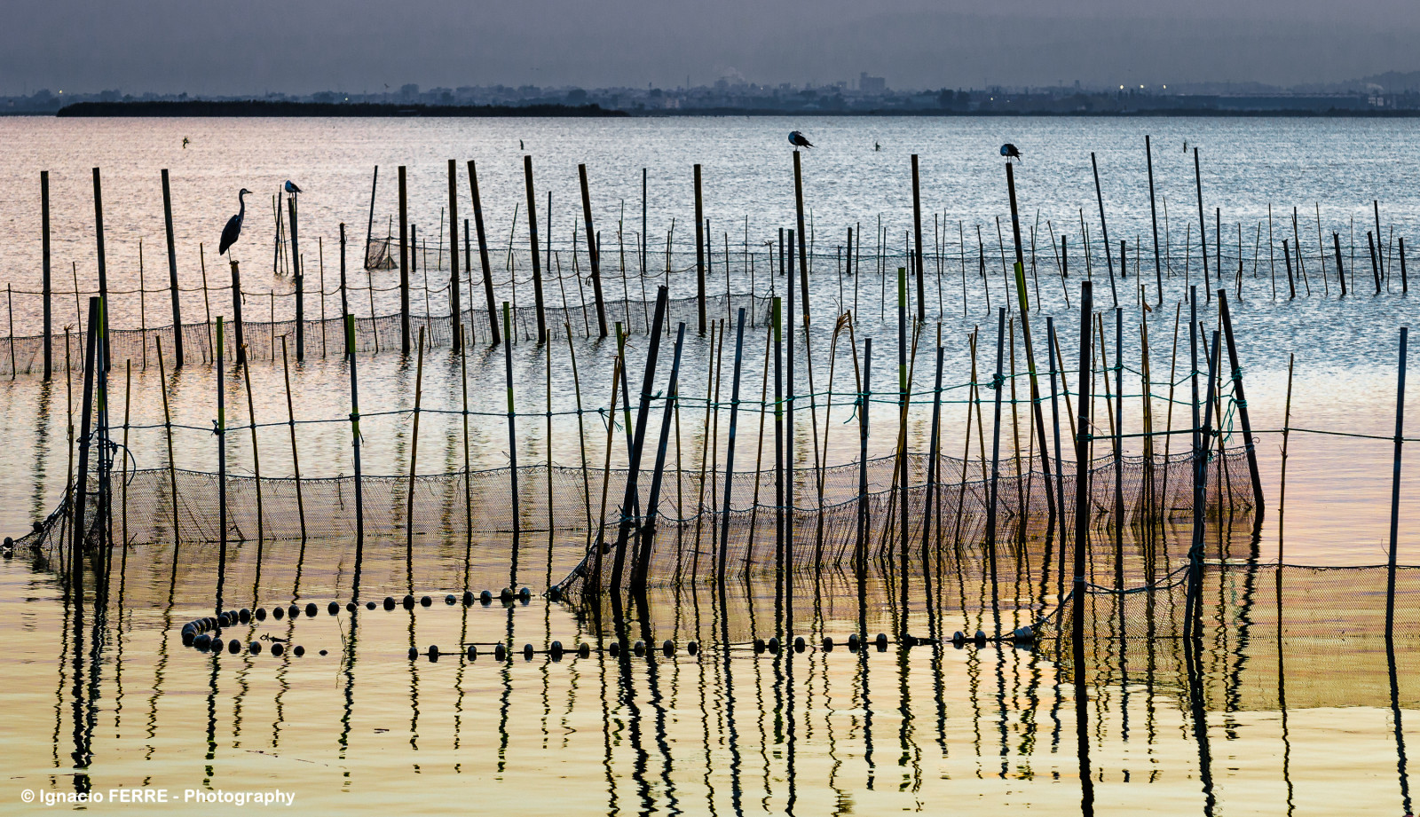 krajina, západ slunce, moře, jezero, voda, pobřeží, Červené, odraz, zima, pláž, dřevo, ráno, Španělsko, Nikon, molo, dok, rybolov, Valencia, vlna, síť, paisaje, atardecer, lago, agua, laguna, pesca, espana, Albufera, albuferanaturalpark, l Albufera