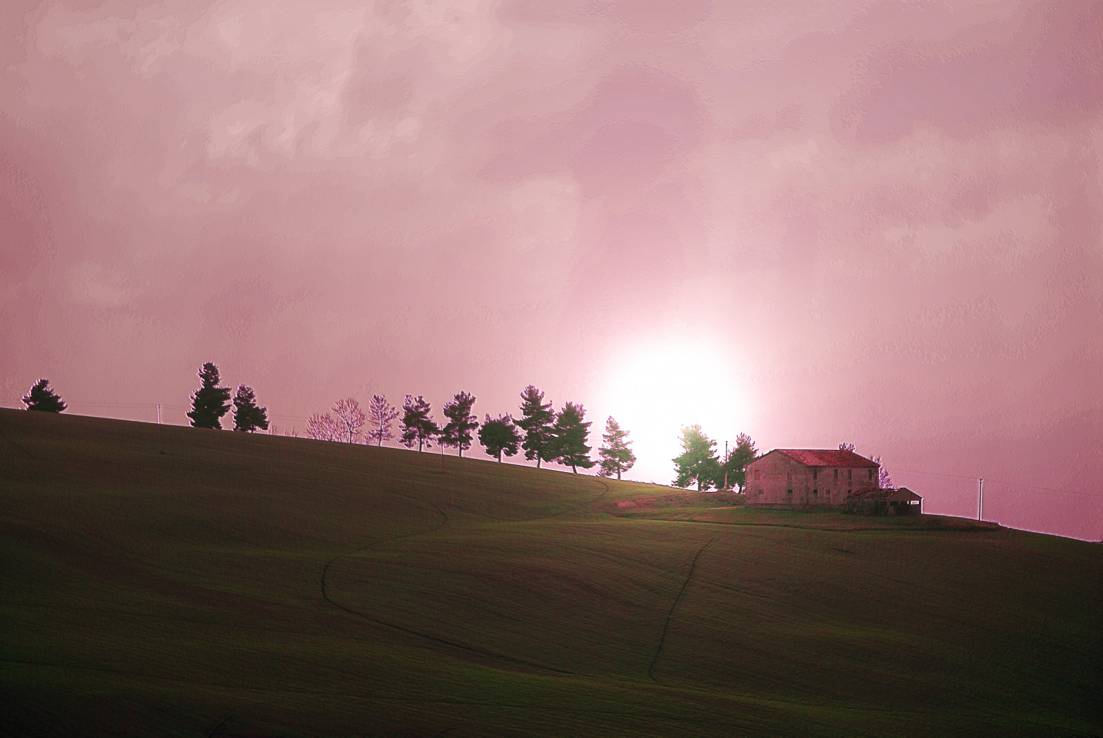 podzim, Přátelé, světlo, Červené, nebe, Itálie, panoráma, slunce, strom, zelená, textura, Příroda, barvy, panoráma, svítání, krajina, fotografie, Nikon, Evropa, země, kopec, perspektivní, textury, Marche, Jesi, Eugenio, Staffolo, Coppari, paesaggimarchigiani, mygearandme, mygearandmepremium, mygearandmebronze, mygearandmesilver, mygearandmegold, mygearandmeplatinum, mygearandmediamond, USC