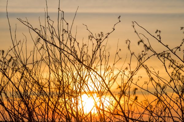 sunset,geocity,dusk,solnedgang,geolocation,camera make canon