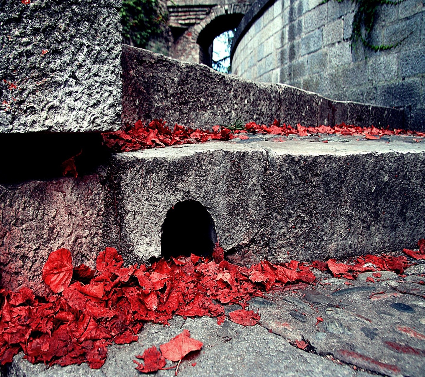 tempio, le foglie, natura, rosso, parete, ARTE, colore, fenomeno geologico